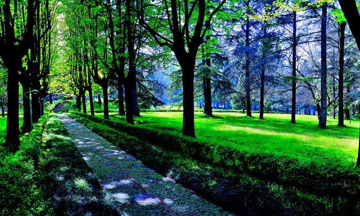 Hotel Terme Монтичели Терме Екстериор снимка